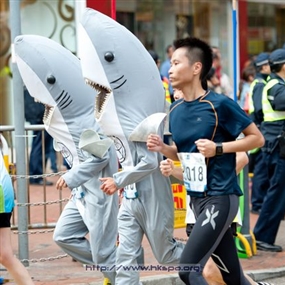 Photo By Wilson Mak