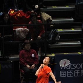 Photo By Samson Yip